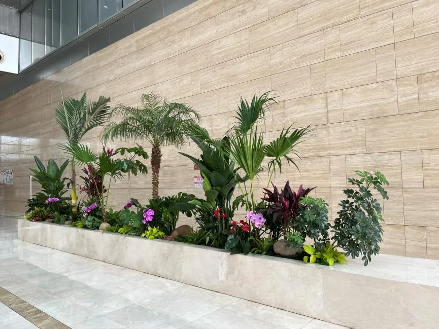 探寻宁波余姚花卉租赁公司,解锁花卉租赁新体验